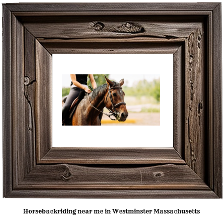 horseback riding near me in Westminster, Massachusetts